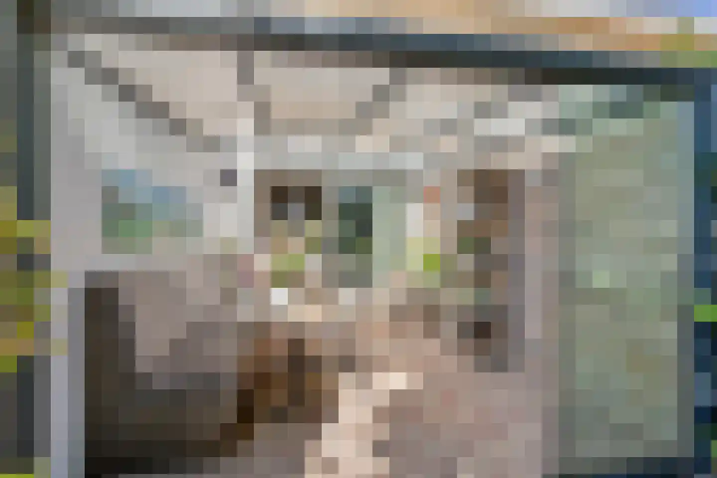Vinkenbos 41 Ulvenhout thumbnail 25