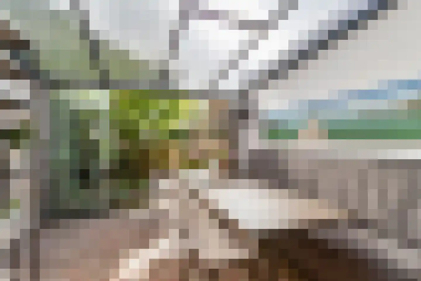 Vinkenbos 41 Ulvenhout thumbnail 5