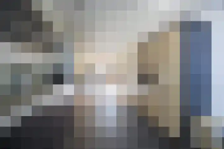 Vinkenbroek 101 Etten-Leur thumbnail 19