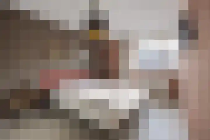 Vinkenbroek 101 Etten-Leur thumbnail 25