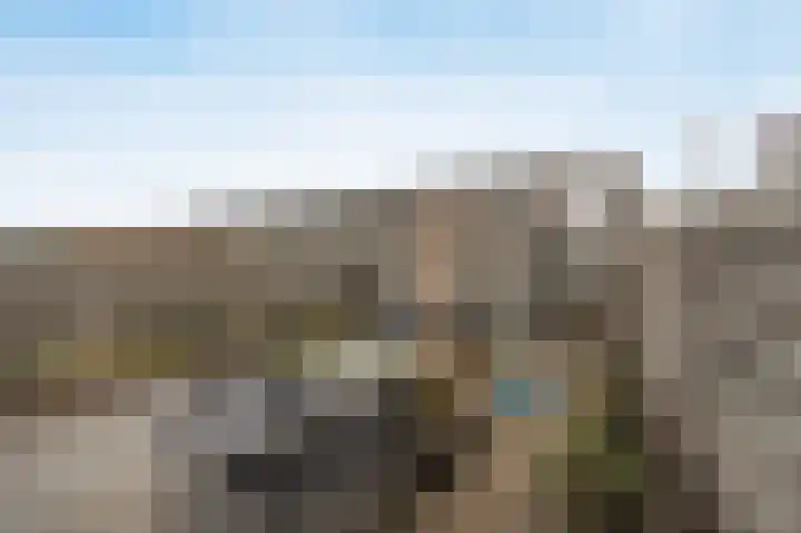 Vinkenbroek 101 Etten-Leur thumbnail 41
