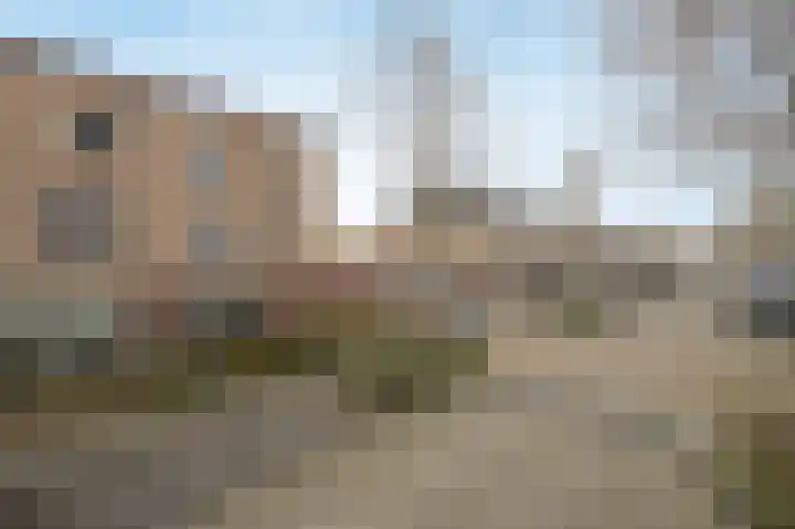 Vinkenbroek 101 Etten-Leur thumbnail 44