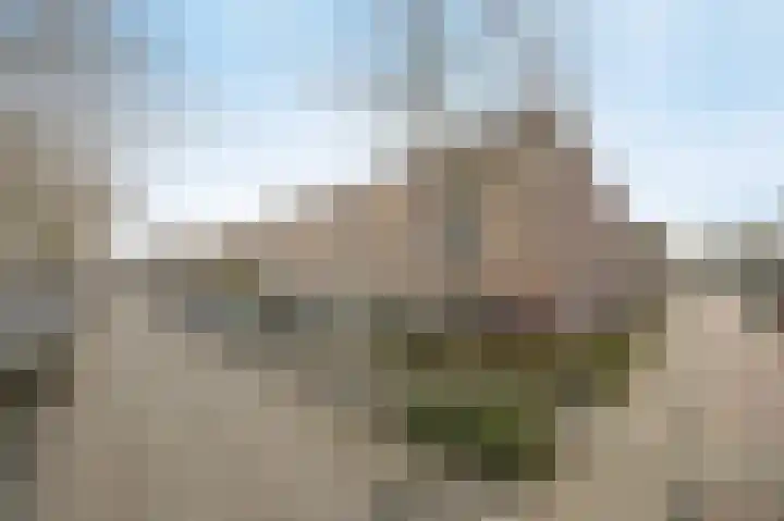 Vinkenbroek 101 Etten-Leur thumbnail 45