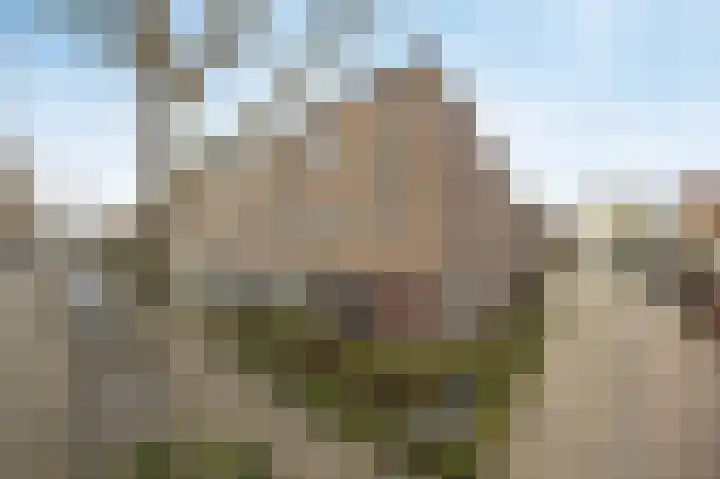 Vinkenbroek 101 Etten-Leur thumbnail 46