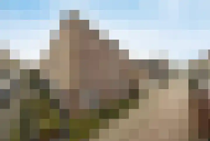 Vinkenbroek 101 Etten-Leur thumbnail 5
