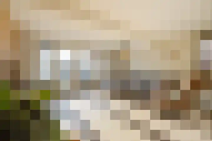 Vinkenbroek 101 Etten-Leur thumbnail 9