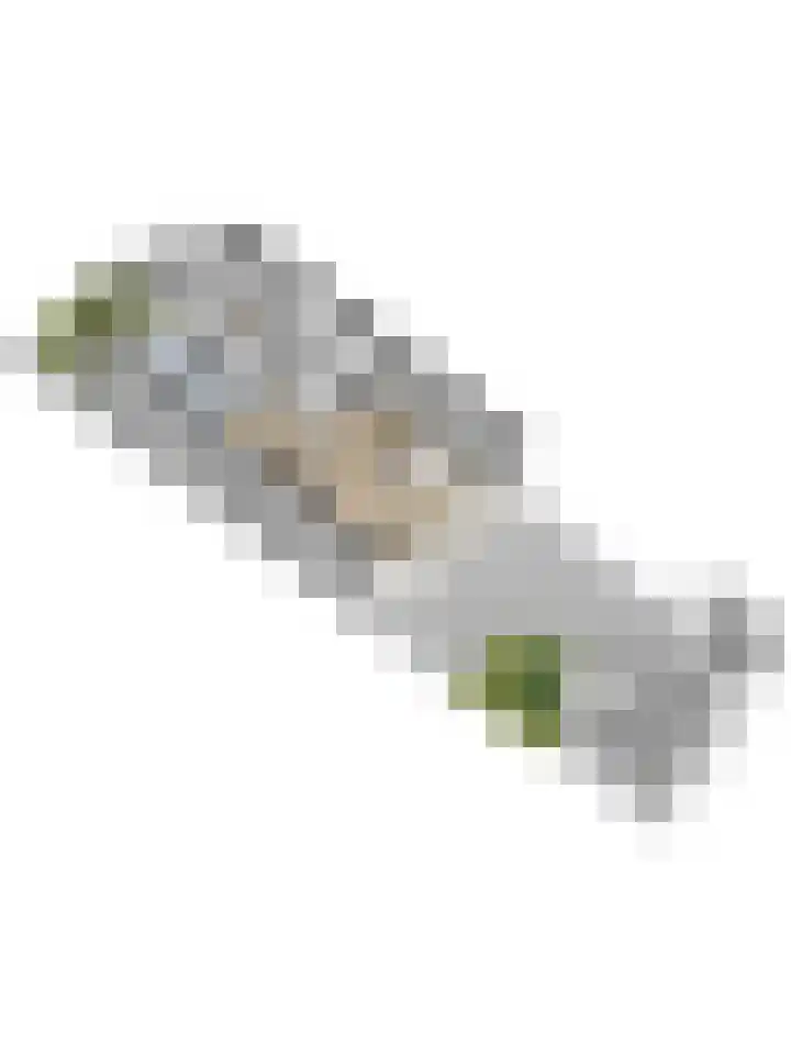 Vinkenbroek 131 Etten-Leur thumbnail 34