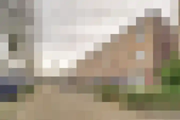 Vinkenbroek 131 Etten-Leur thumbnail 6