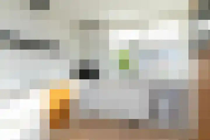 Vinkenbroek 16 Etten-Leur thumbnail 25