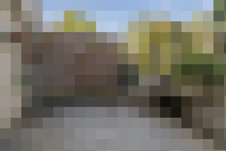 Vinkenbroek 28 Etten-Leur thumbnail 25