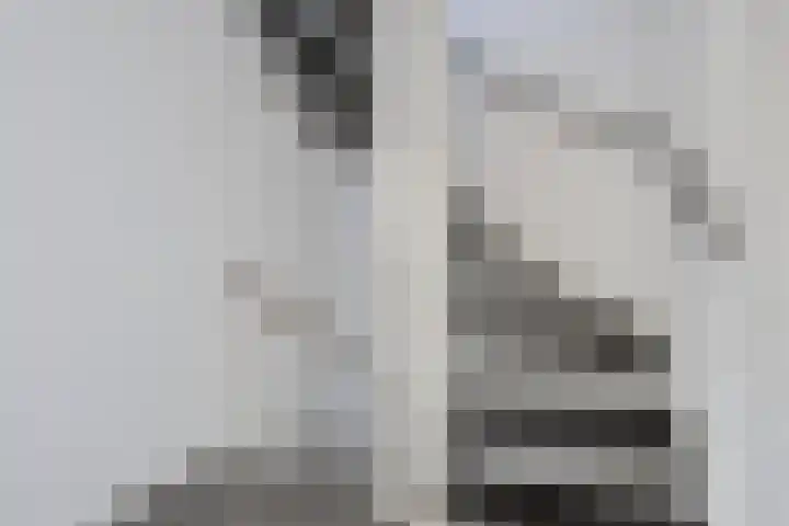 Vinkenbroek 6 Etten-Leur thumbnail 20