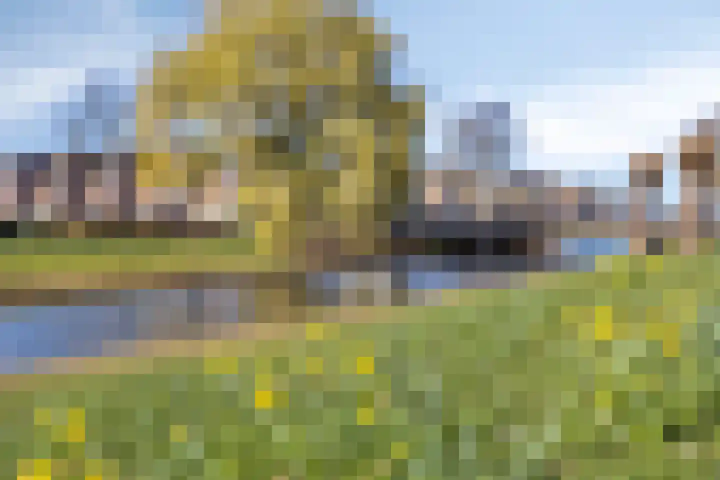Vinkenbroek 73 Etten-Leur thumbnail 41