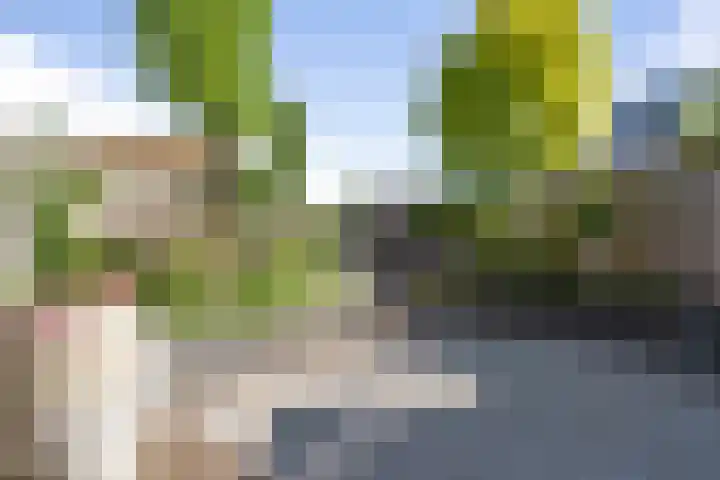 Vinkenbroek 86 Etten-Leur thumbnail 33