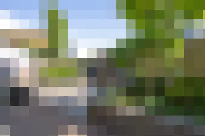 Vinkenbroek 86 Etten-Leur thumbnail 34