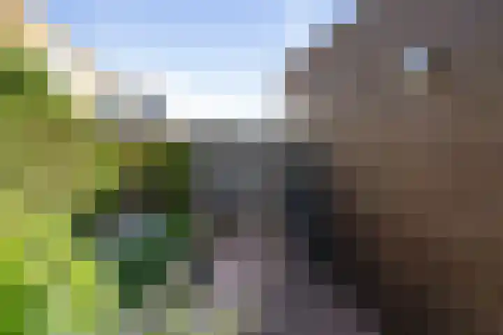 Vinkenbroek 86 Etten-Leur thumbnail 37