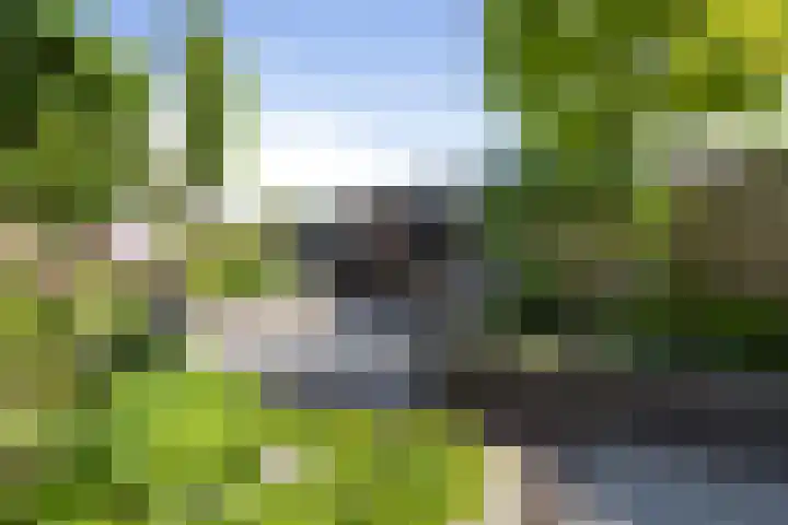 Vinkenbroek 86 Etten-Leur thumbnail 4