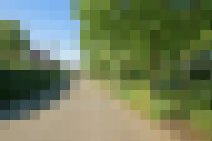 Vinkenbroek 9 Etten-Leur thumbnail 59