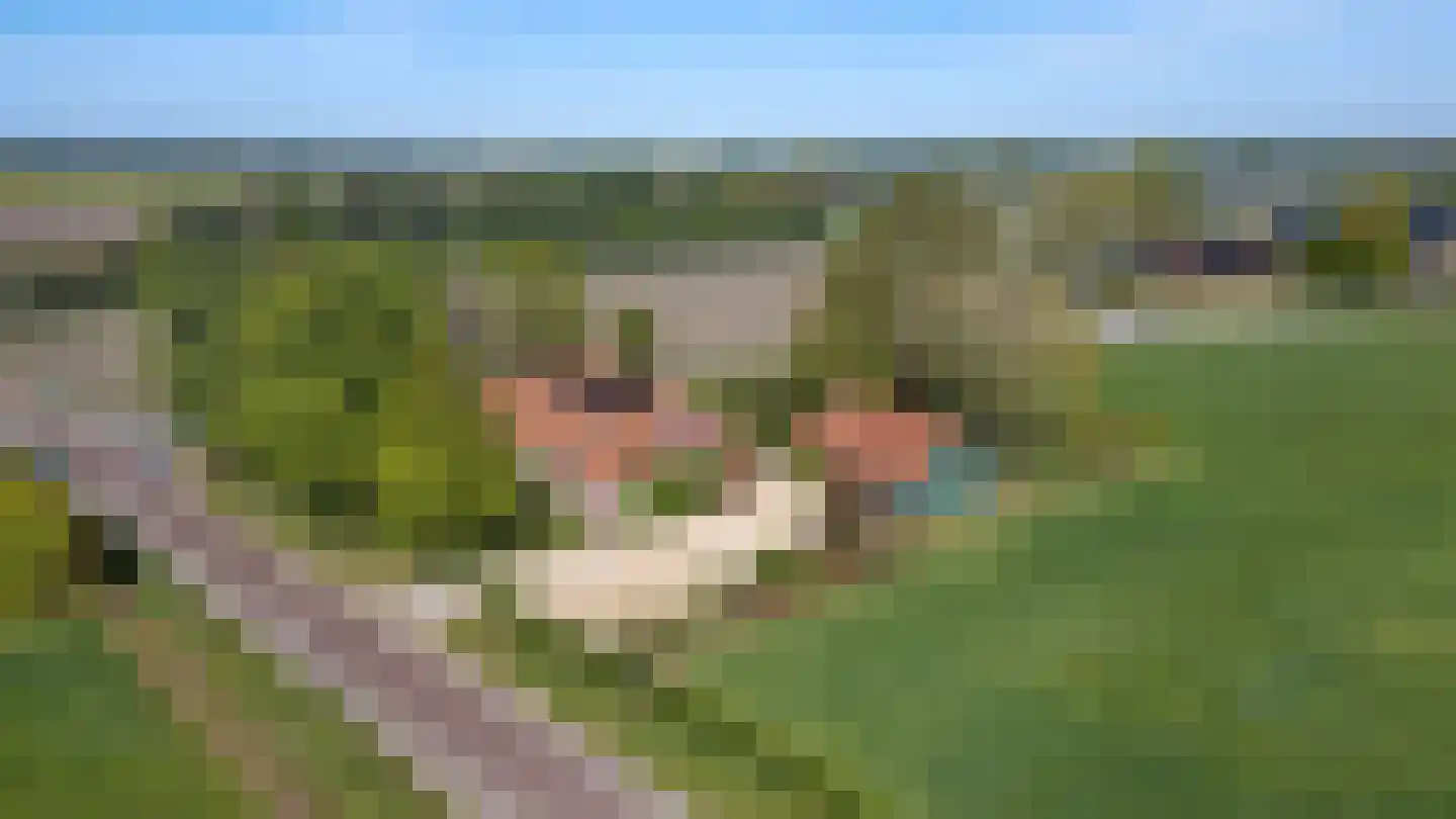 Vinkenbroeksestraat 16 Roosendaal thumbnail 4