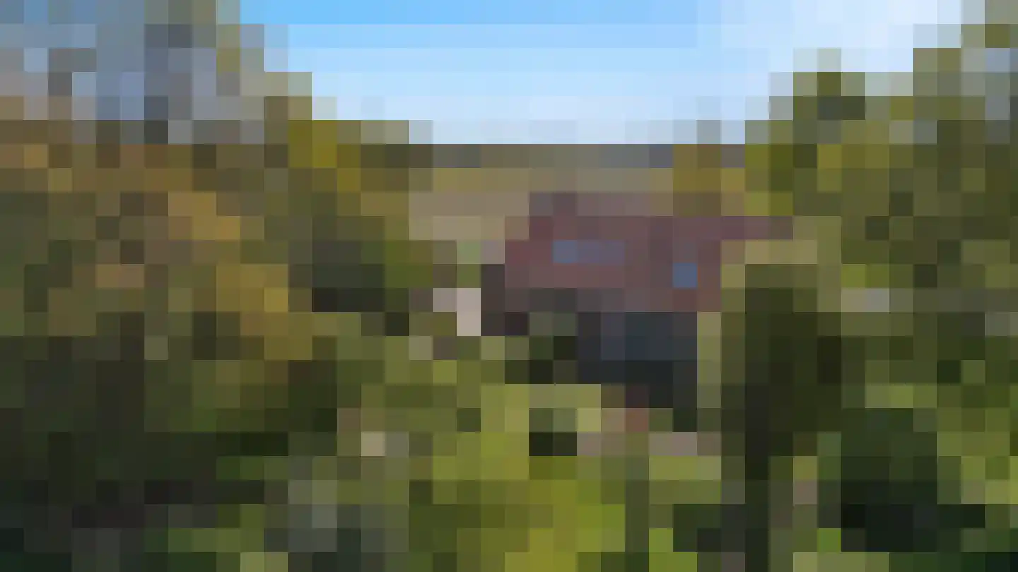 Vinkenbroeksestraat 16 Roosendaal thumbnail 61