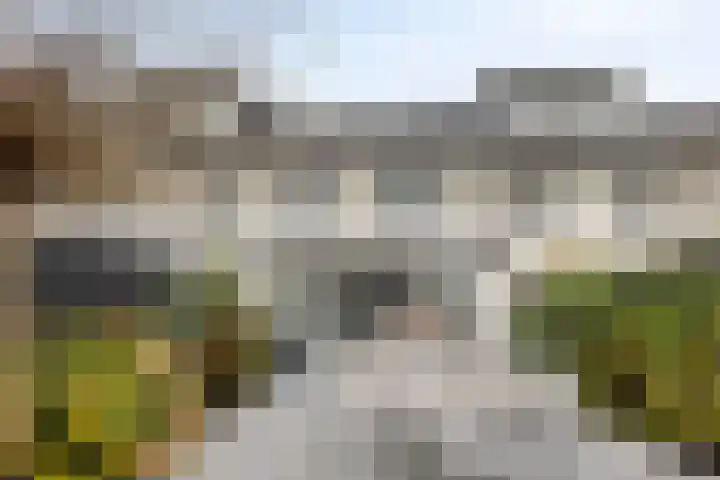 Vinkenburgweg 15 Odijk thumbnail 33