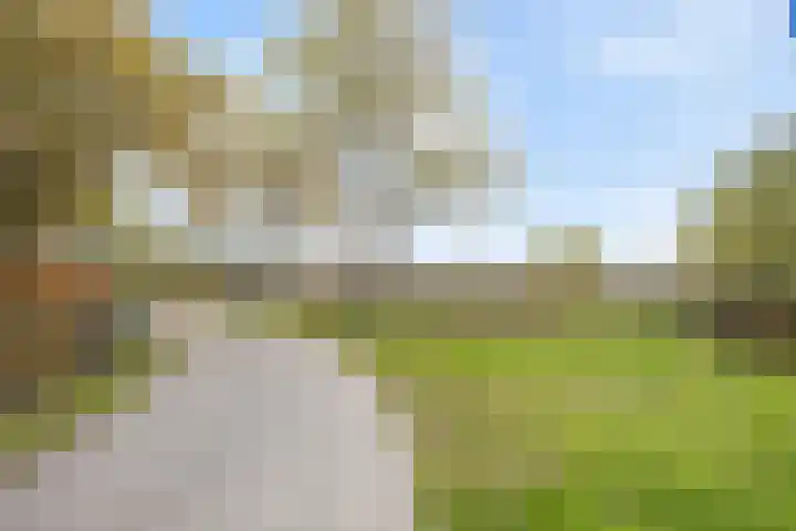 Vinkenburgweg 15 Odijk thumbnail 61