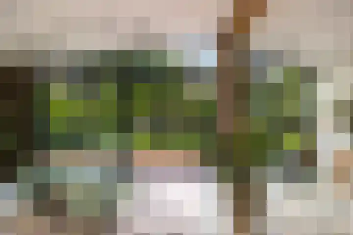 Vinkenbuurtweg 33 Maarn thumbnail 15