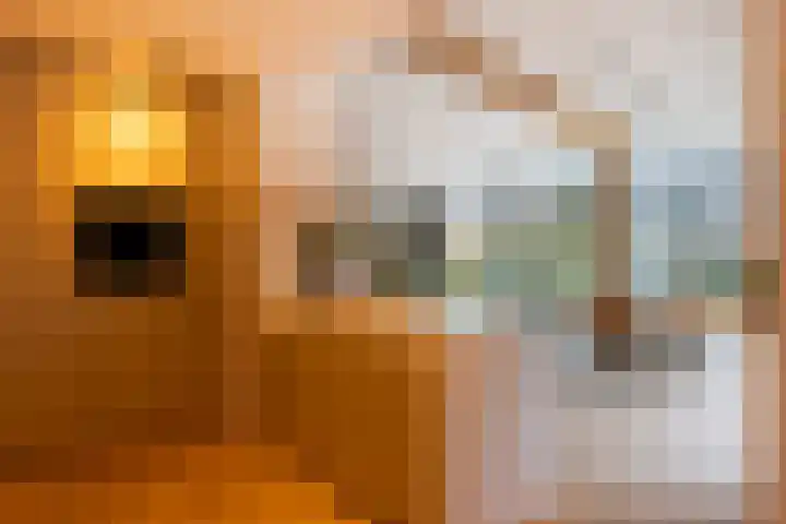 Vinkenbuurtweg 33 Maarn thumbnail 17