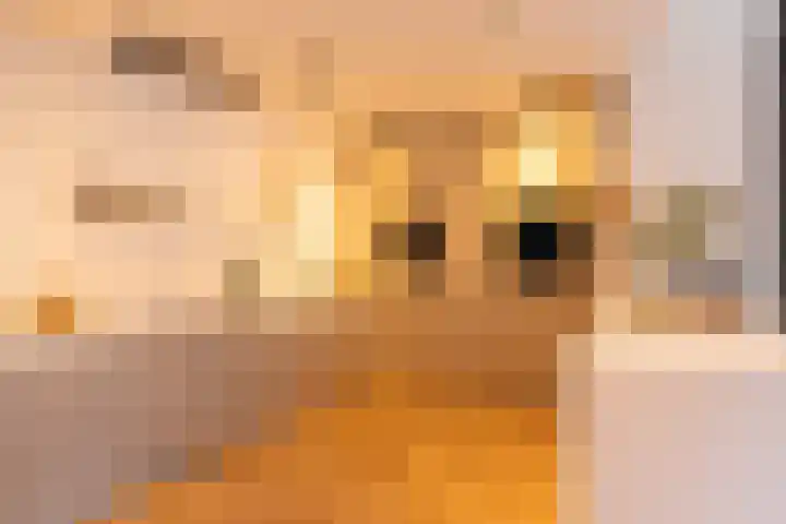 Vinkenbuurtweg 33 Maarn thumbnail 18