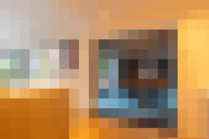 Vinkenbuurtweg 33 Maarn thumbnail 19