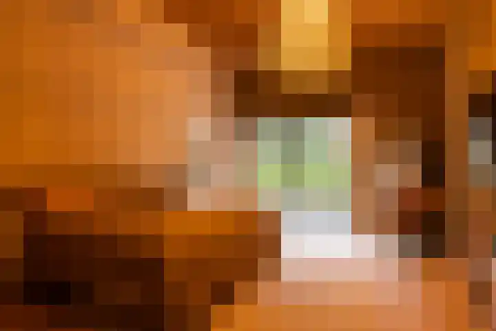 Vinkenbuurtweg 33 Maarn thumbnail 22