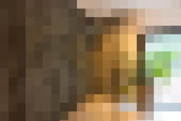 Vinkenbuurtweg 33 Maarn thumbnail 25