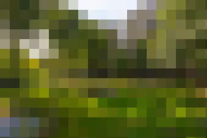 Vinkenbuurtweg 33 Maarn thumbnail 37