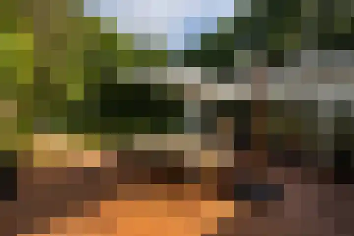 Vinkenbuurtweg 33 Maarn thumbnail 38