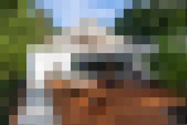 Vinkenbuurtweg 33 Maarn thumbnail 39