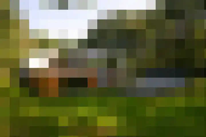 Vinkenbuurtweg 33 Maarn thumbnail 4