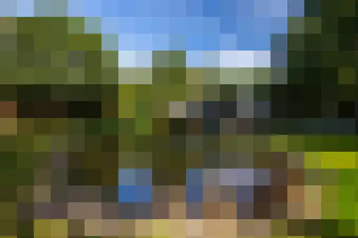 Vinkenbuurtweg 33 Maarn thumbnail 40