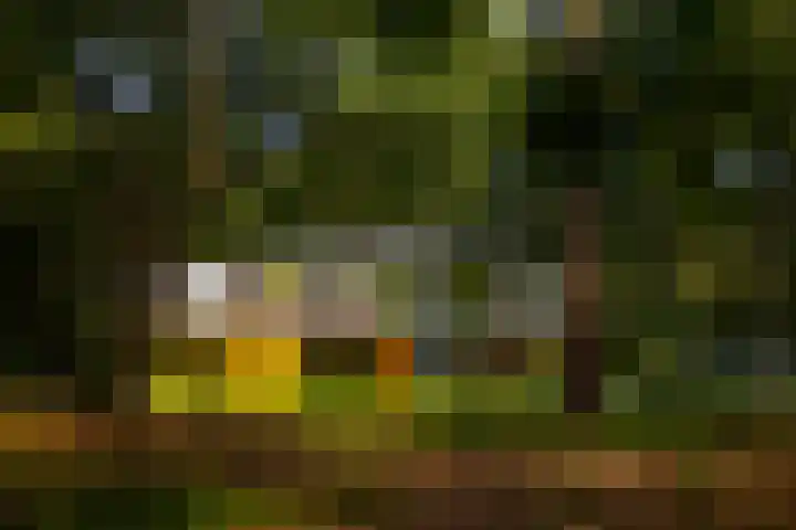 Vinkenbuurtweg 33 Maarn thumbnail 41
