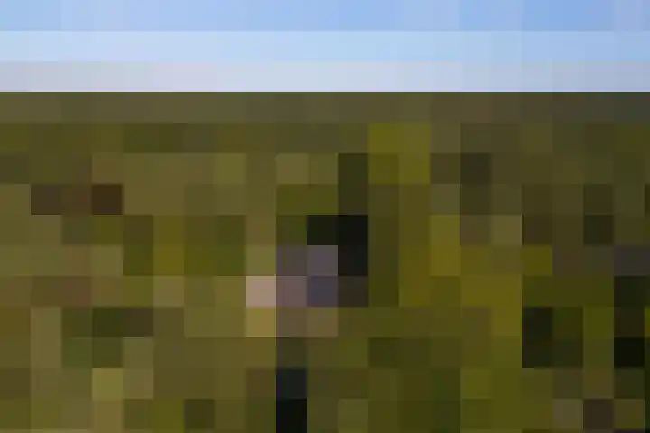 Vinkenbuurtweg 33 Maarn thumbnail 5