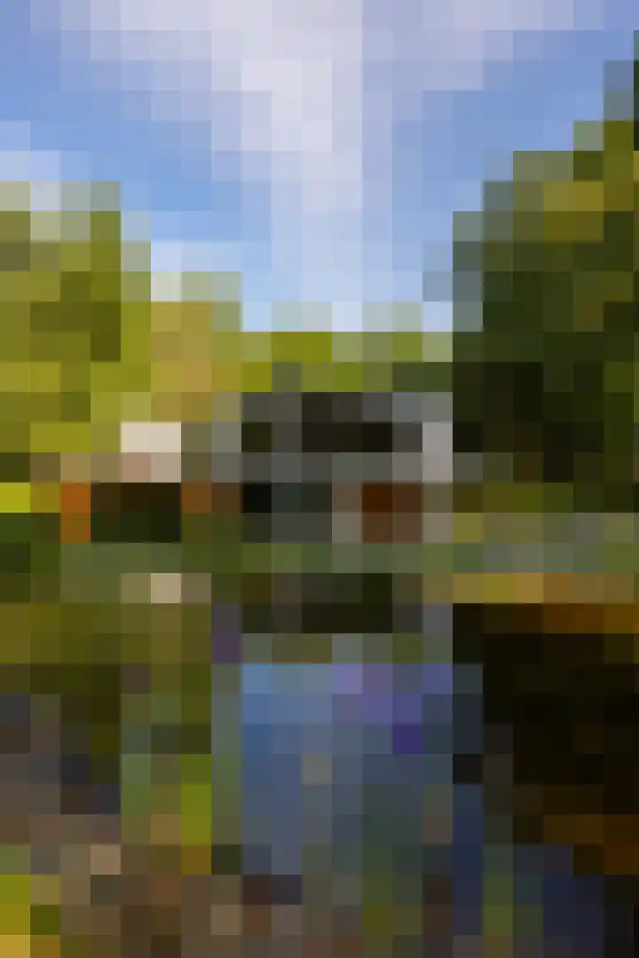 Vinkenbuurtweg 33 Maarn thumbnail 6