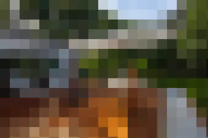 Vinkenbuurtweg 33 Maarn thumbnail 7