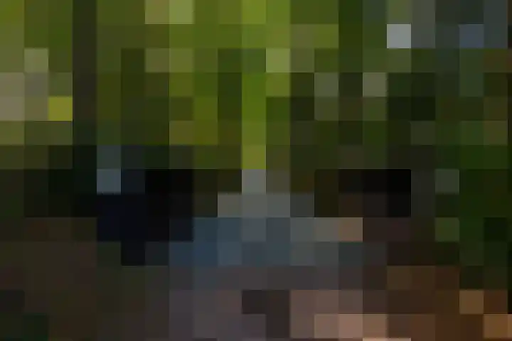 Vinkenbuurtweg 33 Maarn thumbnail 8