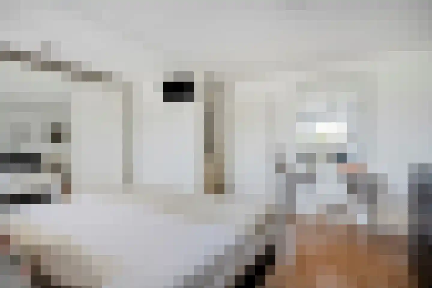 Vinkendaal 2 Nieuwerkerk aan den IJssel thumbnail 12