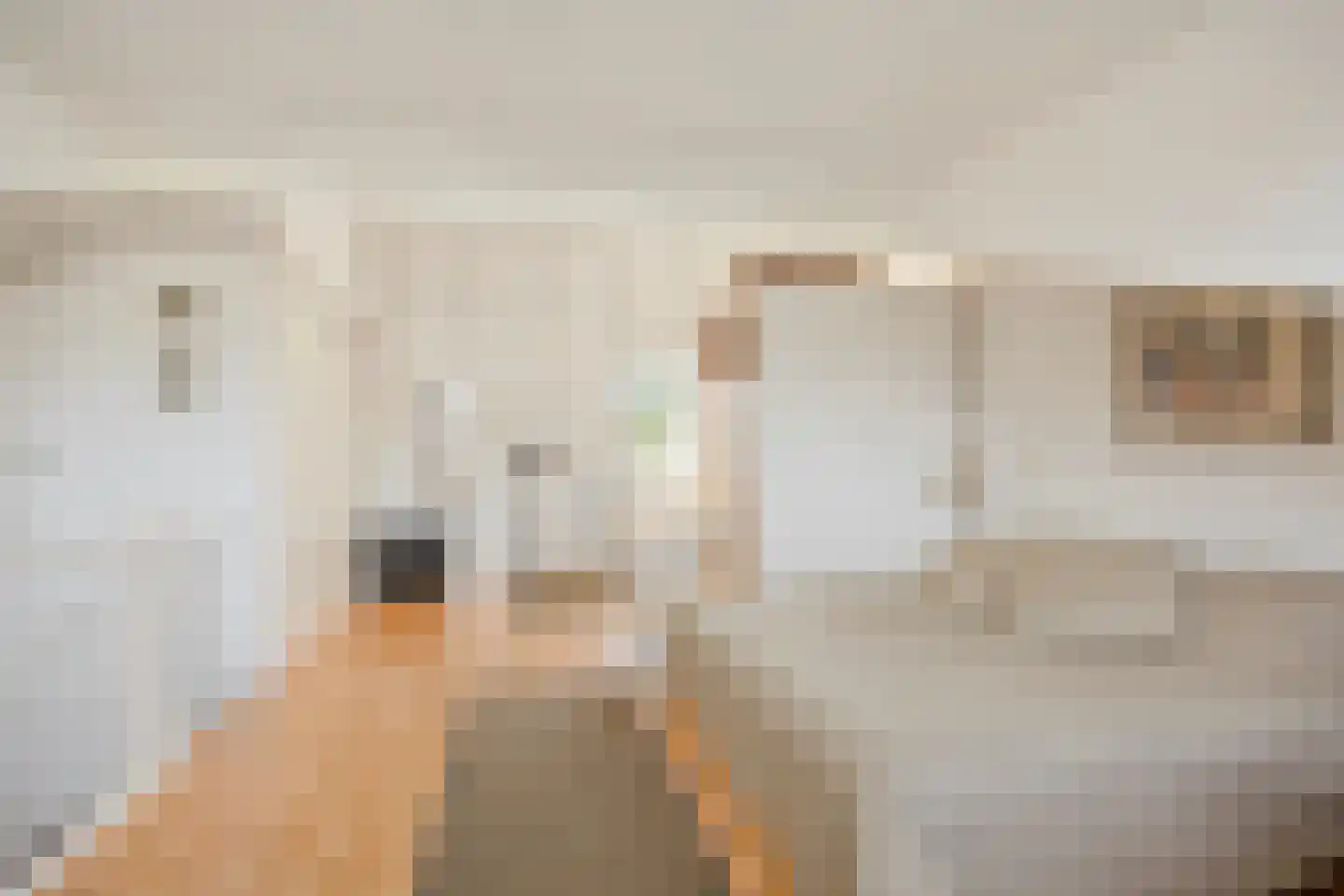 Vinkendaal 2 Nieuwerkerk aan den IJssel thumbnail 17