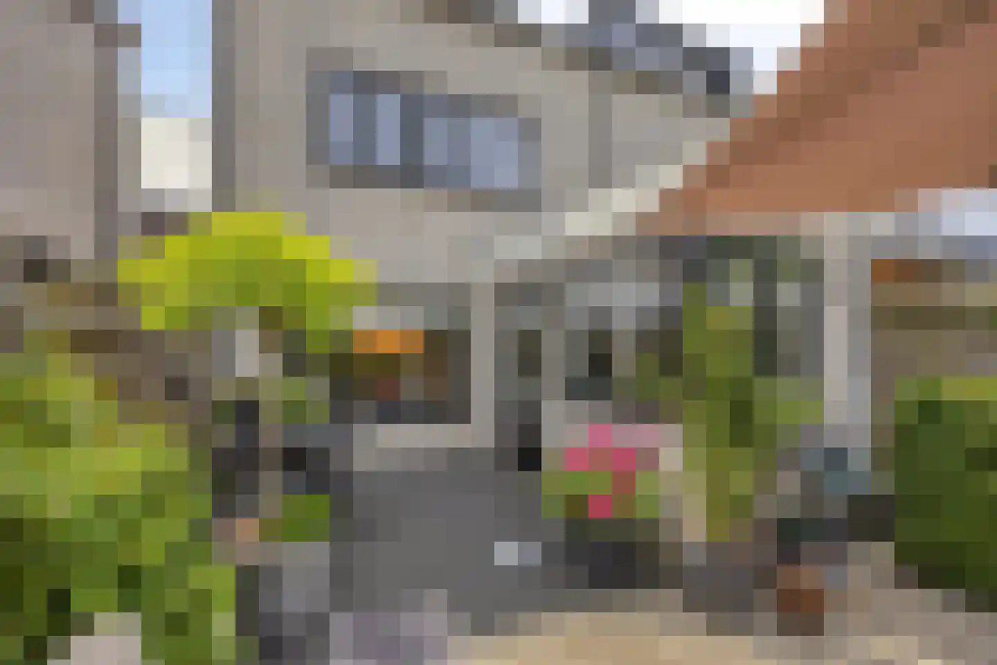 Vinkendaal 2 Nieuwerkerk aan den IJssel thumbnail 19
