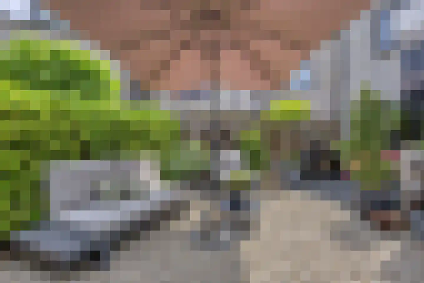 Vinkendaal 2 Nieuwerkerk aan den IJssel thumbnail 20
