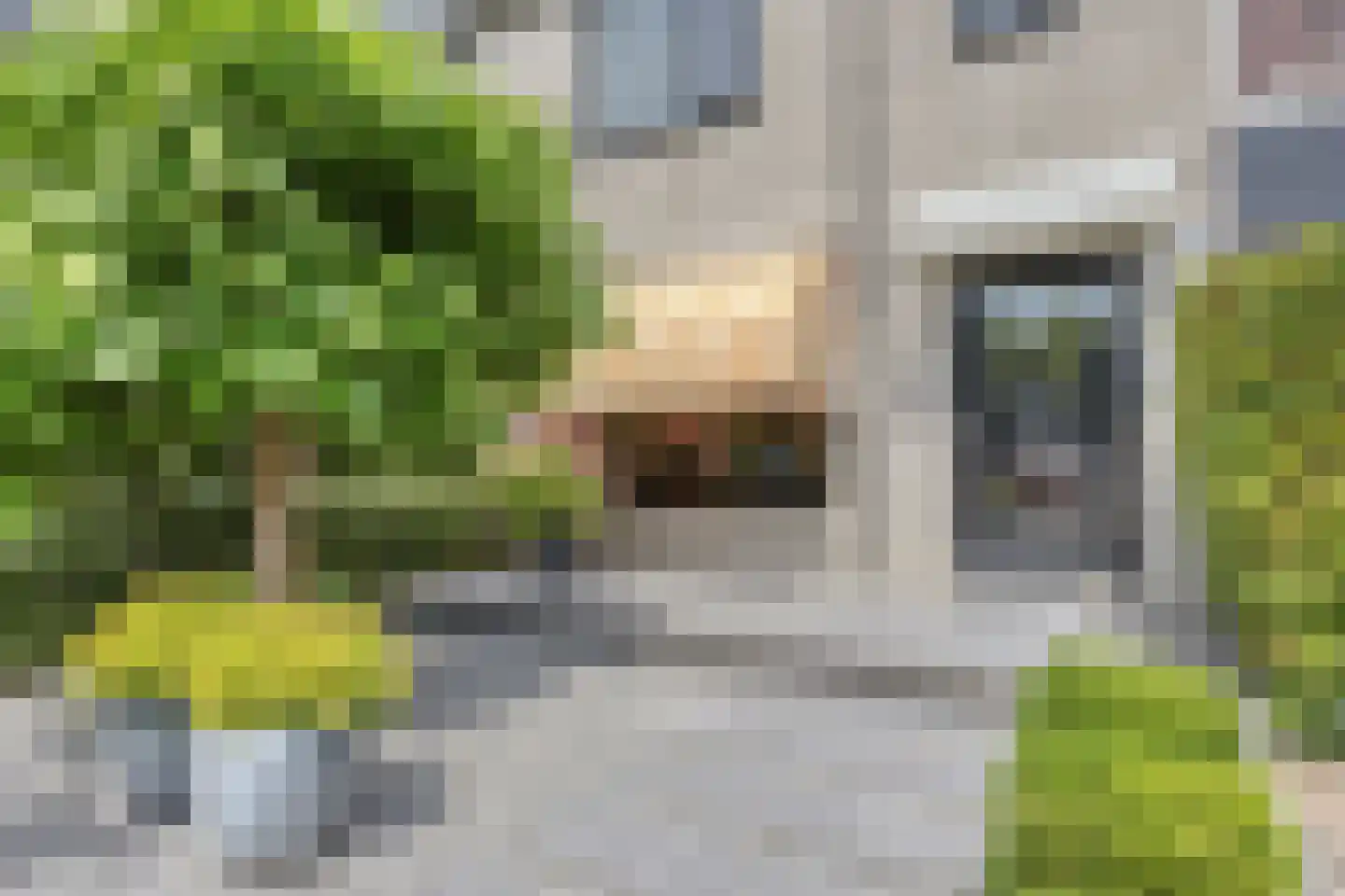 Vinkendaal 2 Nieuwerkerk aan den IJssel thumbnail 23