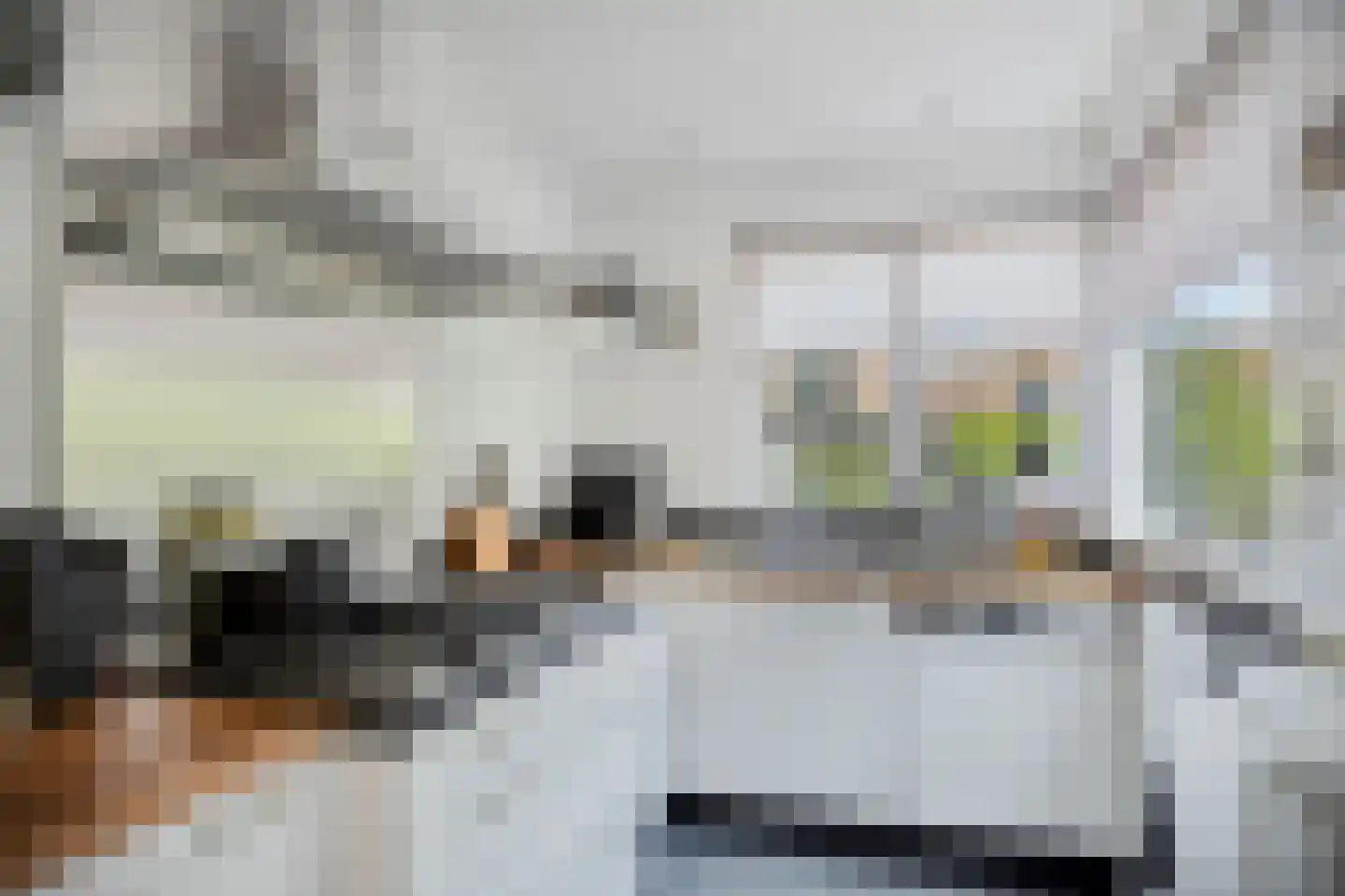 Vinkendaal 2 Nieuwerkerk aan den IJssel thumbnail 7