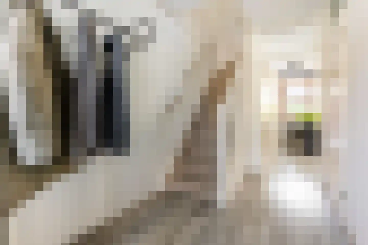 Vinkendaal 29 Nieuwerkerk aan den IJssel thumbnail 10