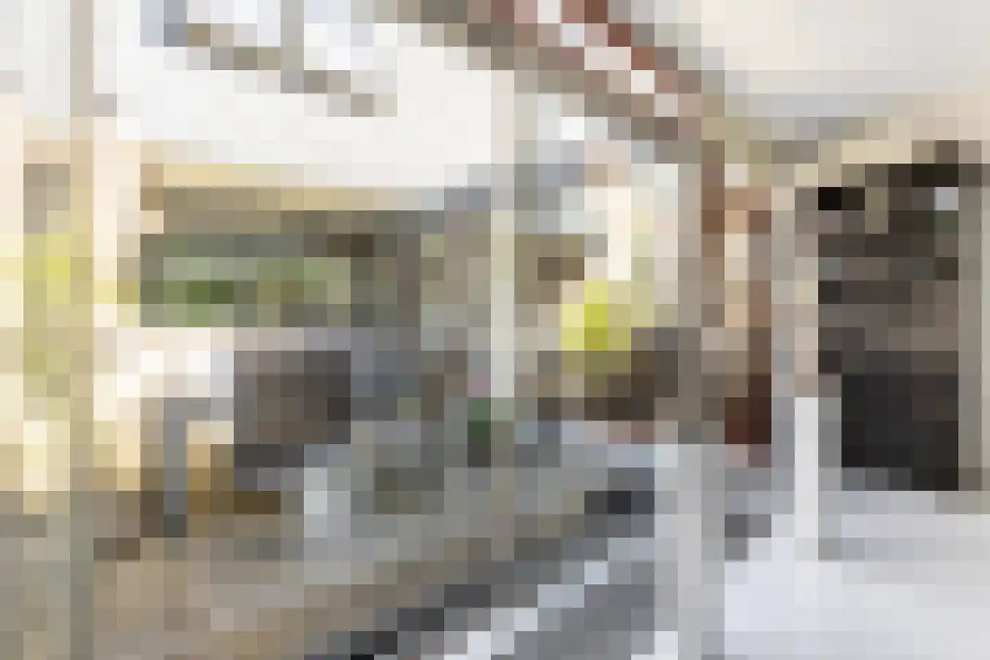 Vinkendaal 29 Nieuwerkerk aan den IJssel thumbnail 36