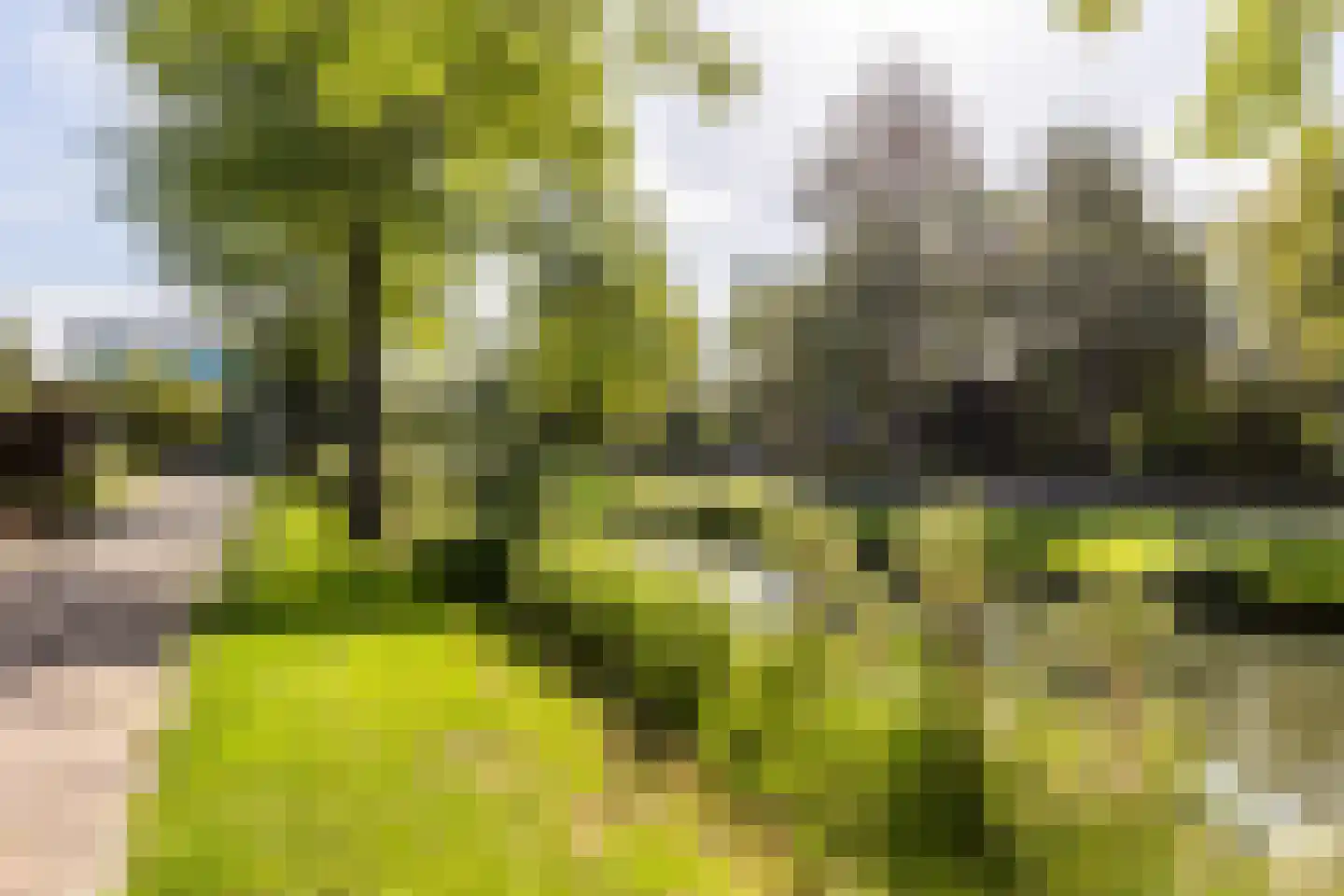 Vinkendaal 29 Nieuwerkerk aan den IJssel thumbnail 43